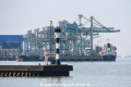 Port of Shanghai OS-310319-02.jpg